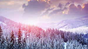ภาพสวยงามของหิมะ — หิมะสวยงาม วอลเปเปอร์