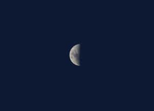 พื้นหลังภาพ