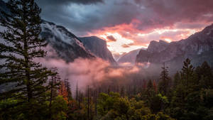 วอลเปเปอร์ทิวทัศน์ป่าหมอก — 2560x1440 วอลเปเปอร์