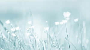 5120x2880 — 5120x2880 วอลเปเปอร์