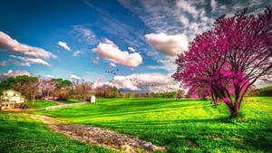 ฤดูใบไม้ผลิที่สวยงามที่สุด