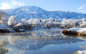 วอลเปเปอร์ทิวทัศน์สะพานฤดูหนาว