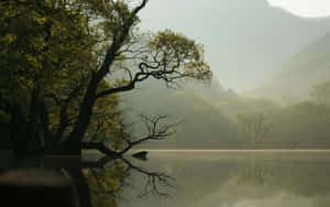 1280x800 — 1280x720 วอลเปเปอร์