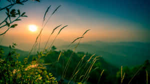 ทิวทัศน์อันเงียบสงบของเนินเขาลูกคลื่นและพระอาทิตย์ตกที่สวยงาม