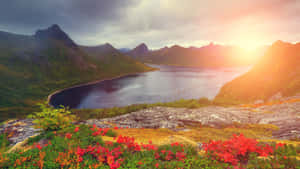 5120x2880 — 5120x2880 วอลเปเปอร์