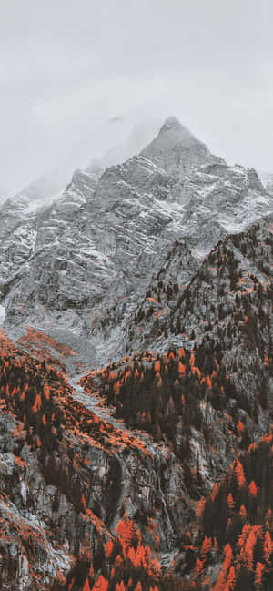 1170x2532 — หัวเว่ย โนวา 15 อัลตรา วอลเปเปอร์