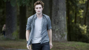 วอลเปเปอร์ The Twilight Saga เอ็ดเวิร์ด ในป่า — ทไวไลท์ วอลเปเปอร์