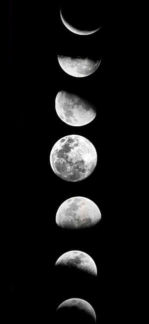 1284x2778 — เสี่ยวหมี่ 17ที โปร วอลเปเปอร์