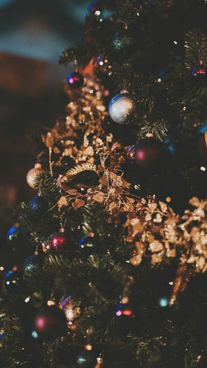 คริสต์มาสสไตล์พรีปปี้ — Preppy Christmas วอลเปเปอร์