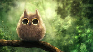 วอลเปเปอร์นกฮูกขนฟูน่ารัก
