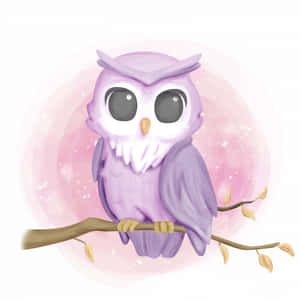 รูปนกฮูกน่ารัก