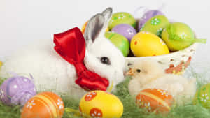น่ากระตุ๊กแกอีสเตอร์กับไข่สีสันสดใสบนพื้นหลังสีเขียวขจี