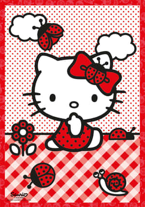 รูปภาพ Hello Kitty — ฮัลโลวีนคิตตี้ GIF วอลเปเปอร์