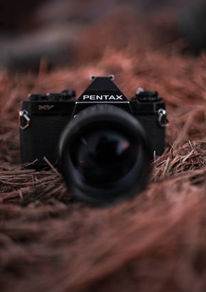 ภาพกล้อง Pentax สีดำบนวอลเปเปอร์รังนก — Oppo Pad 6 วอลเปเปอร์