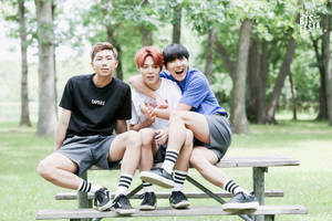 บีทีเอสทรีโอบนม้านั่งในสวนสไตล์สวยงาม — สุนทรียภาพ BTS วอลเปเปอร์