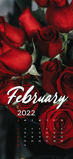 วอลเปเปอร์ปฏิทินกุหลาบแดง กุมภาพันธ์ 2022 — iPhone 16e วอลเปเปอร์