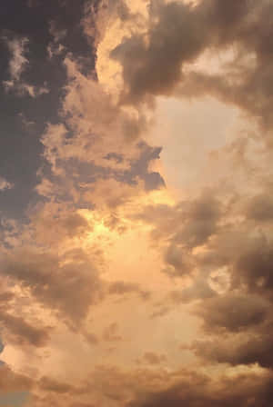 ภาพโทนสีน้ำตาลสวยงาม — สีน้ำตาลอ่อนสไตล์วินเทจ วอลเปเปอร์