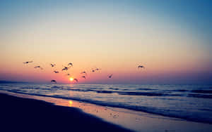 ภาพหาดสวยงาม — สวยงามชายหาด วอลเปเปอร์