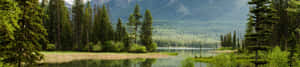 พื้นหลังธรรมชาติ 4k — 4K ธรรมชาติ GIF วอลเปเปอร์