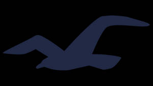 วอลเปเปอร์นกนางนวลสีน้ำเงินเข้มอันเป็นสัญลักษณ์ของ Hollister — ประหยัดแบตเตอรี่ วอลเปเปอร์