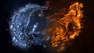 วอลเปเปอร์ศิลปะ 3D เท่ๆ ของนกต่อสู้ — 1600x900 วอลเปเปอร์