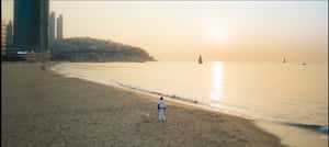 ชายหาด,หาดพระอาทิตย์ตก,สุนทรียภาพพระอาทิตย์ตก,พระอาทิตย์ตก,หาดเมือง,เมือง,บ้านชายหาด,สุนทรียภาพ,ทิวทัศน์ชายหาด,พระอาทิตย์ตกที่ชายหาด