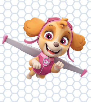 วอลเปเปอร์ Paw Patrol สกาย — Oppo Find N วอลเปเปอร์