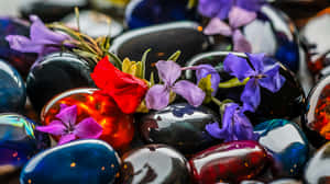 หินขัดมัน, ดอกไม้, พื้นผิว, ระยะใกล้, สีแดง, สีม่วง, สีดำ,