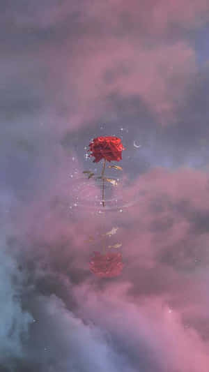 พื้นหลัง iPhone สวยๆ