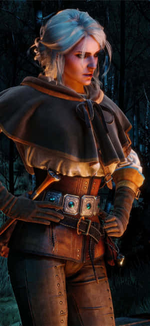 พื้นหลัง The Witcher 3 ที่ดีที่สุด — โมโต G สไตลัส วอลเปเปอร์