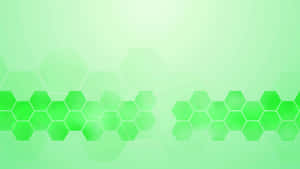 พื้นหลังสีเขียวอ่อน — ไลท์กรีน เอสเธติก วอลเปเปอร์