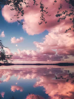ภาพสวยงามสีชมพูพาสเทล — พาสเทลสีชมพู วอลเปเปอร์