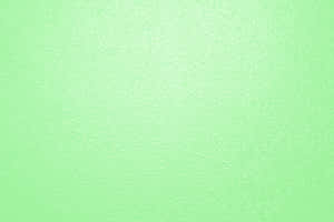 พื้นหลังสีเขียวอ่อน — ไลท์กรีน เอสเธติก วอลเปเปอร์