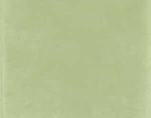 พื้นหลังสีเขียวเสจสุดสงบ — ไลท์กรีน เอสเธติก วอลเปเปอร์