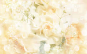 พื้นหลังสีเหลืองพาสเทล — พาสเทลเยลโลว์ วอลเปเปอร์