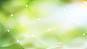 พื้นหลังสีเขียวอ่อน — ไลท์กรีน เอสเธติก วอลเปเปอร์
