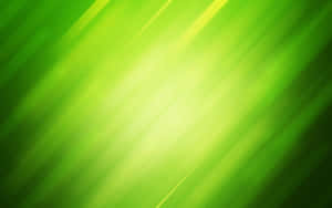 พื้นหลังสีเขียวอ่อน — ไลท์กรีน เอสเธติก วอลเปเปอร์
