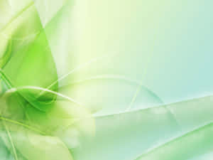 พื้นหลังสีเขียวอ่อน — ไลท์กรีน เอสเธติก วอลเปเปอร์