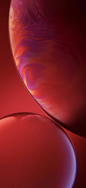 วอลเปเปอร์ iPhone XR ฟองสบู่สีแดงลายสวินสองฟอง — iPhone Xr วอลเปเปอร์