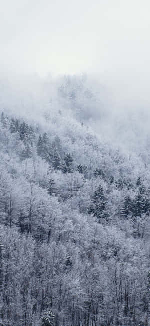 Snow iPhone — iPhone 18 Pro Max วอลเปเปอร์