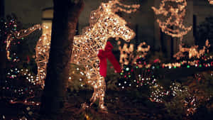 ภาพคริสต์มาสสวยๆ — คริสต์มาสสวยงาม วอลเปเปอร์