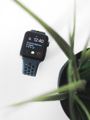 วอลเปเปอร์ภาพถ่าย Apple Watch ที่สวยงามน่าดู — Apple Watch วอลเปเปอร์