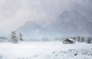 ภาพทิวทัศน์ฤดูหนาว — ฤดูหนาวสวยงาม วอลเปเปอร์