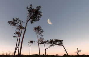 ภาพพระจันทร์ — สุนทรียภาพพระจันทร์ วอลเปเปอร์