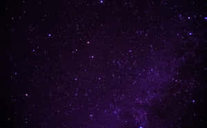 ภาพสวยโทนม่วงเข้ม — สีม่วง วอลเปเปอร์