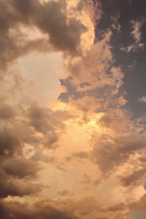 ภาพสวยโทนสีน้ำตาลอ่อน — สีน้ำตาลอ่อนสไตล์วินเทจ วอลเปเปอร์