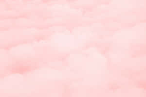 ภาพสีชมพู — น่ารักสีชมพู วอลเปเปอร์