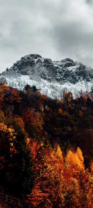 Fall Mountain — ZTE Blade A76 วอลเปเปอร์