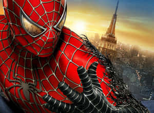 ภาพสไปเดอร์แมน — สไปเดอร์แมน วอลเปเปอร์