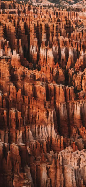 ยอดแหลมสีแดงตระการตาในอุทยานแห่งชาติ Bryce Canyon — Oppo Find X10 Pro Max วอลเปเปอร์